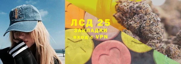 ПСИЛОЦИБИНОВЫЕ ГРИБЫ Каменка