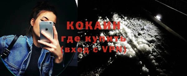 дмт Касимов