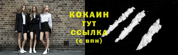 дмт Касимов