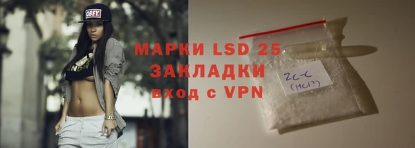 мяу мяу мука Инсар