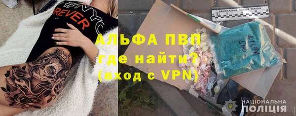 дмт Касимов