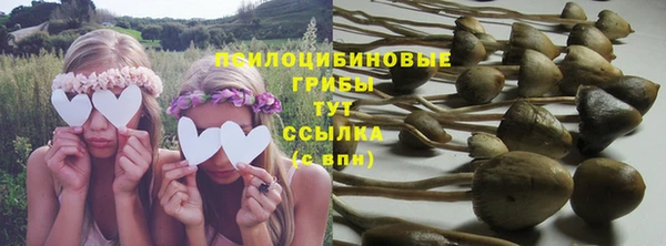 альфа пвп Каменногорск