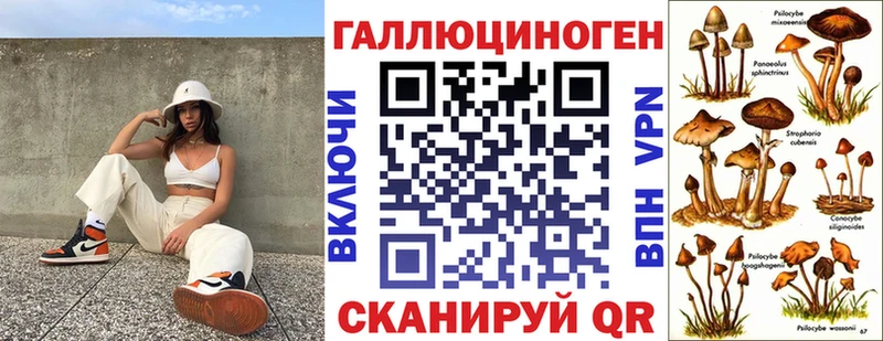 купить закладку  Княгинино  Галлюциногенные грибы мицелий 